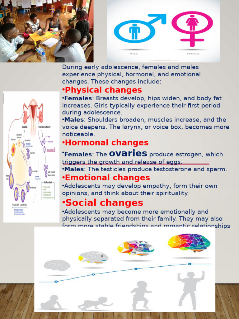 Changes During Adolescence | PDF