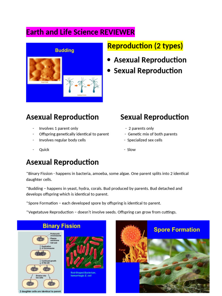 Earth and Life Science Reviewer | PDF | Plant Reproduction | Sexual ...