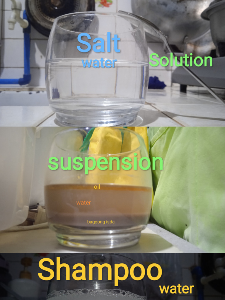 Science Assessment Picture Pdf