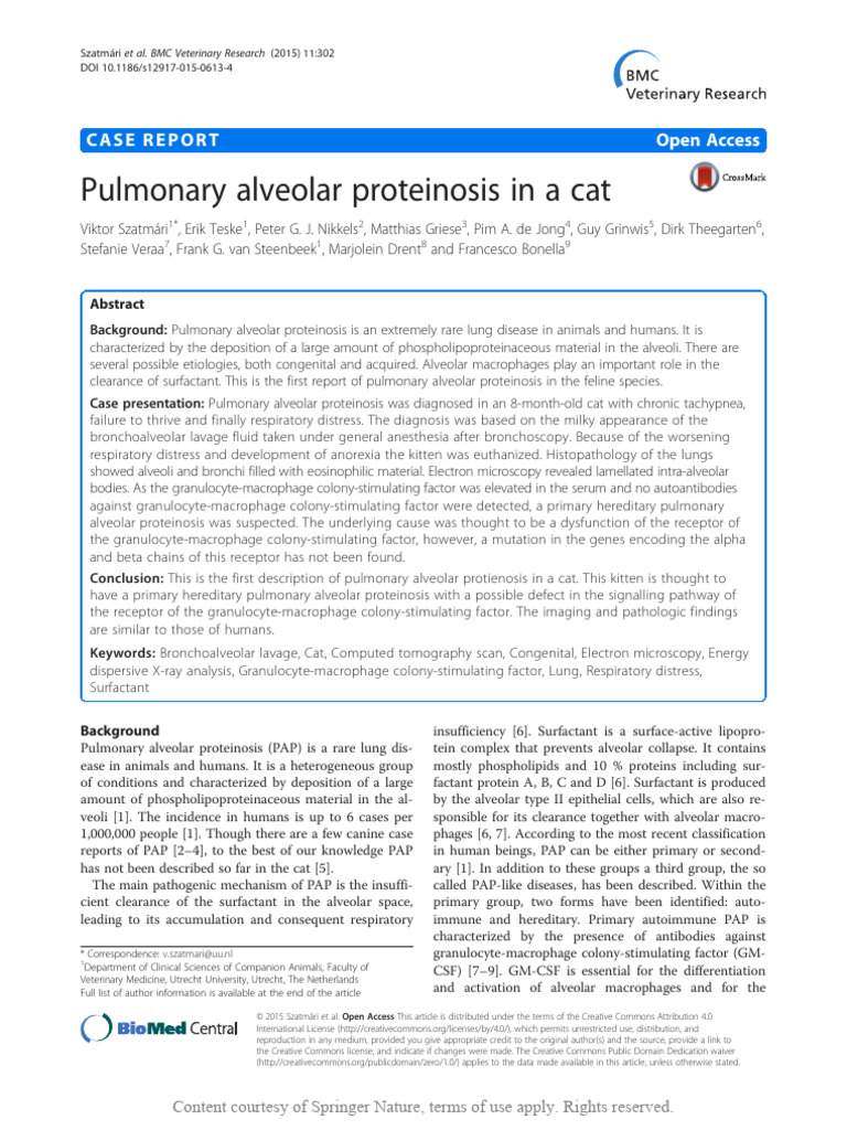 Pulmonary Alveolar Proteinosis in A Cat | PDF | Lung