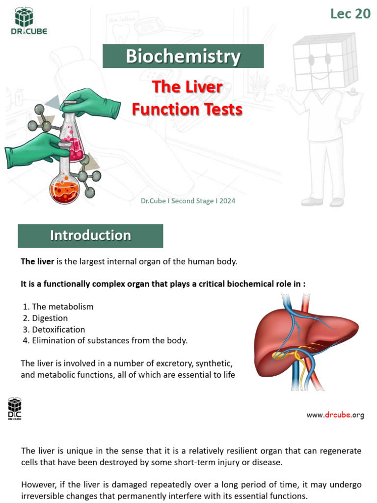 Liver Function Tests Overview 2024 | PDF | Cirrhosis | Cancer