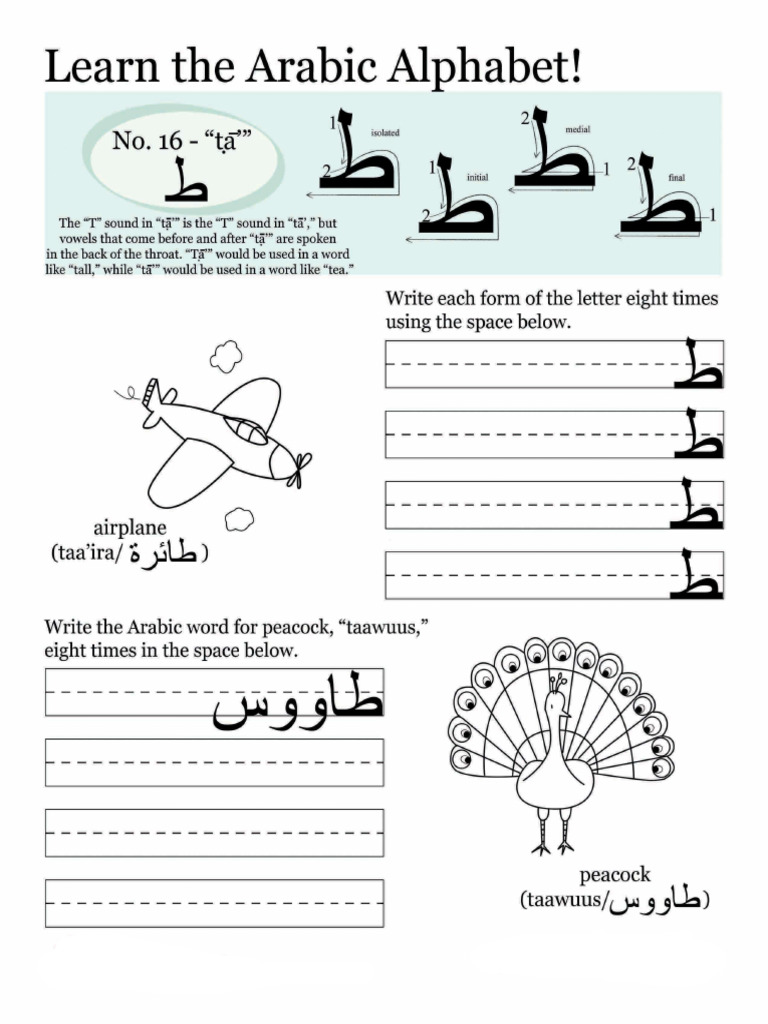 Arabic Letters Ta | PDF
