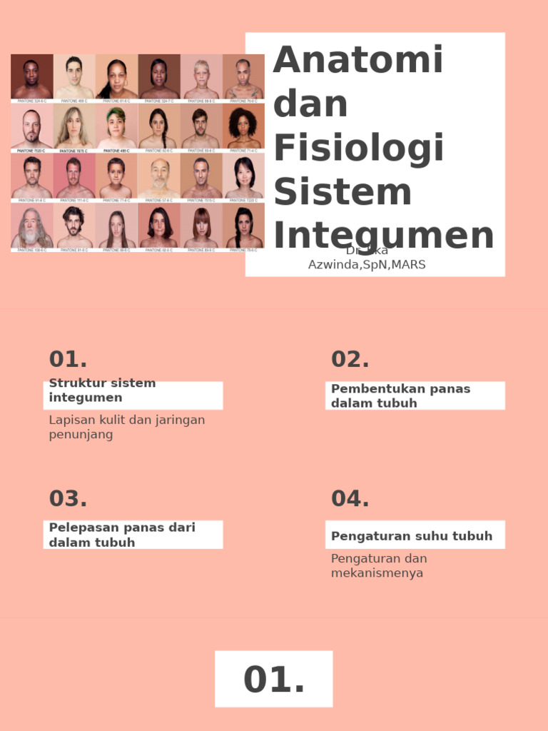 Struktur dan Fungsi Sistem Integumen | PDF