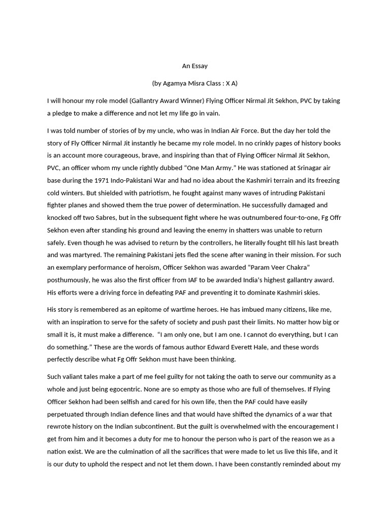 Essay | PDF | Military