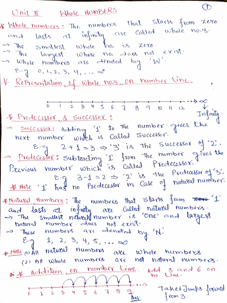 Understanding Whole Numbers and Operations | PDF