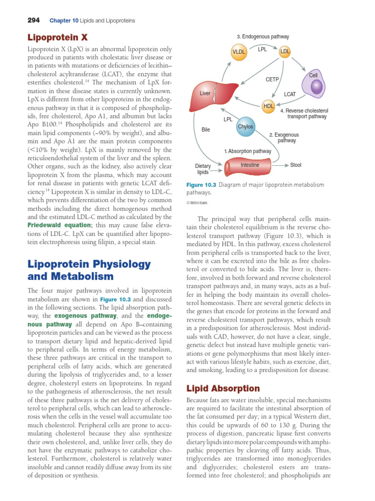 cc lipids | PDF | Lipoprotein | Cholesterol