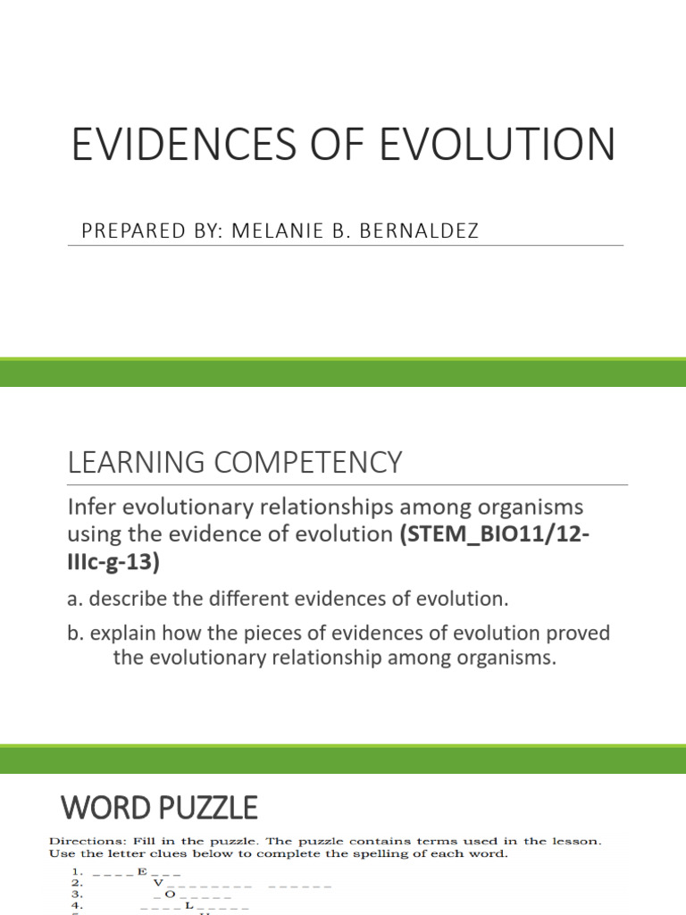Evidence of Evolution Explained | PDF | Biochemistry | Chemistry