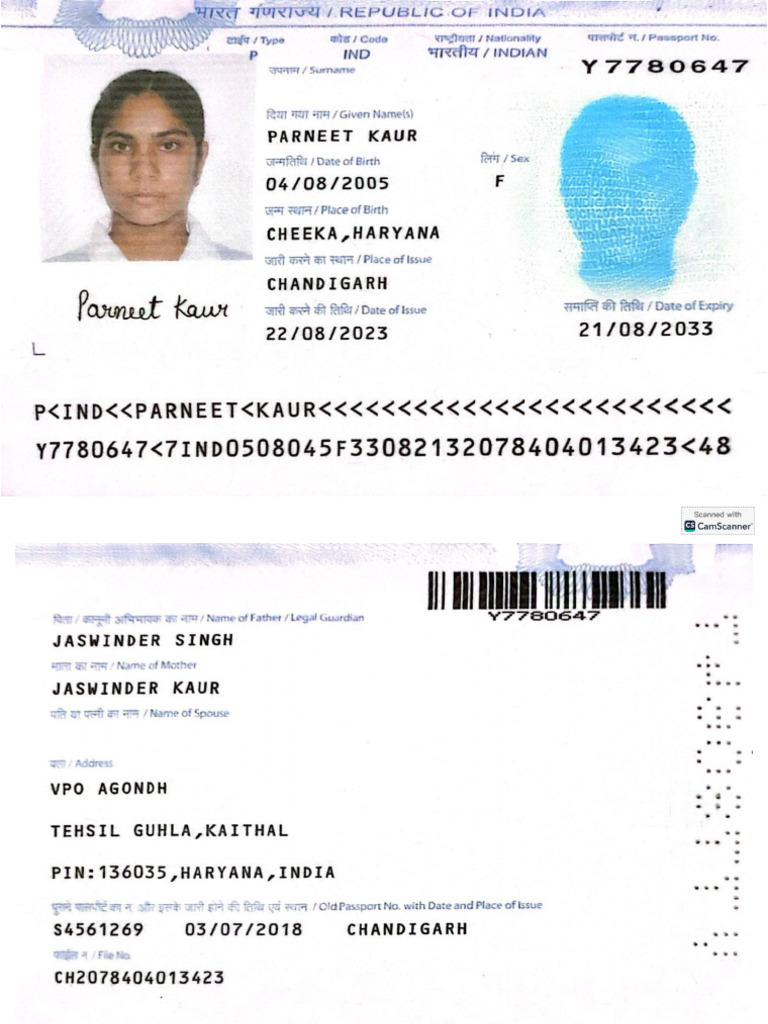 Passport | PDF