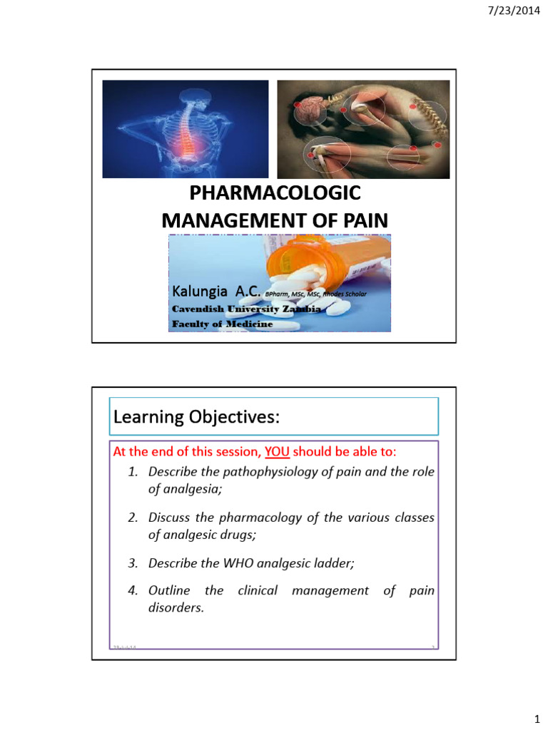Pain Management and Analgesics Overview | PDF | Opioid | Nonsteroidal ...