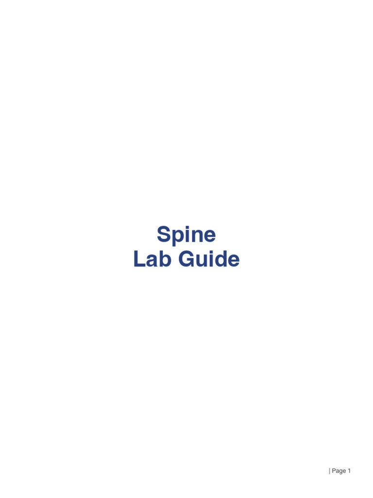 Spine and Spinal Cord Dissection Guide | PDF | Vertebral Column | Vertebra