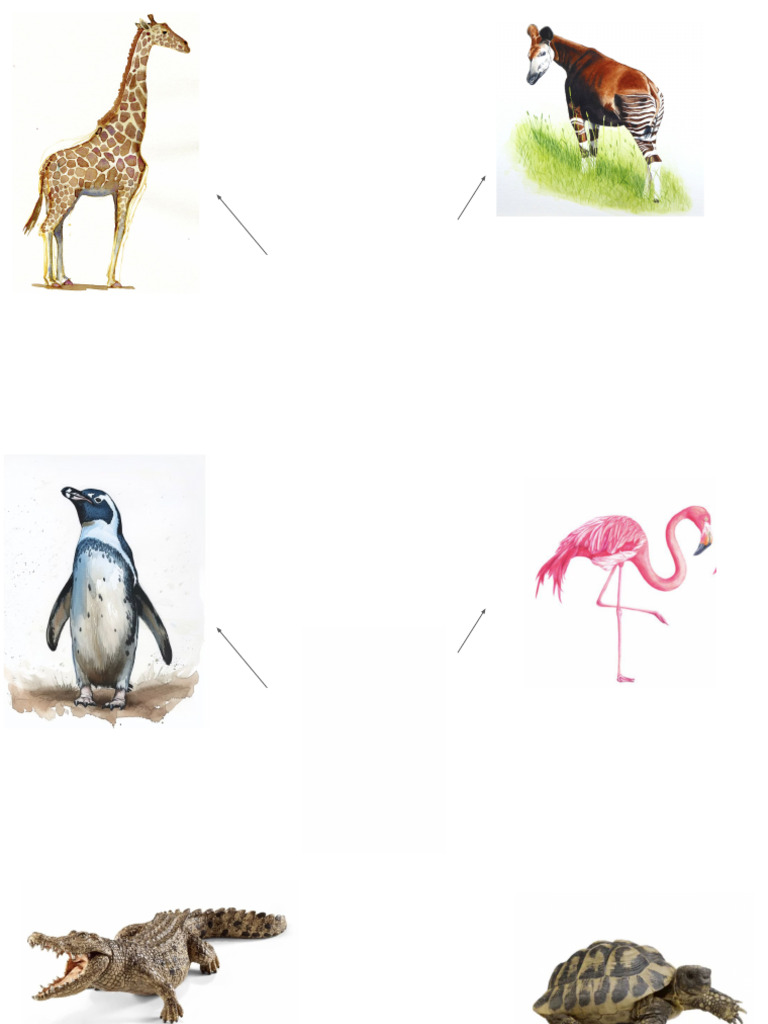 Evolution Kids Worksheet | PDF