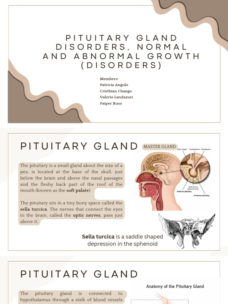 Pituitary Gland Disorders Overview | PDF | Growth Hormone | Pituitary Gland