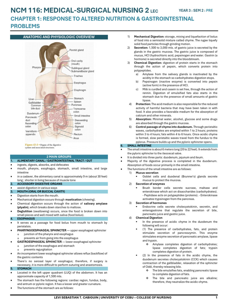 Lower Esophageal Sphincter Function | PDF | Digestion | Esophagus