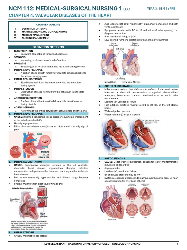 Valvular Heart Diseases Overview | PDF | Heart Valve | Diastole