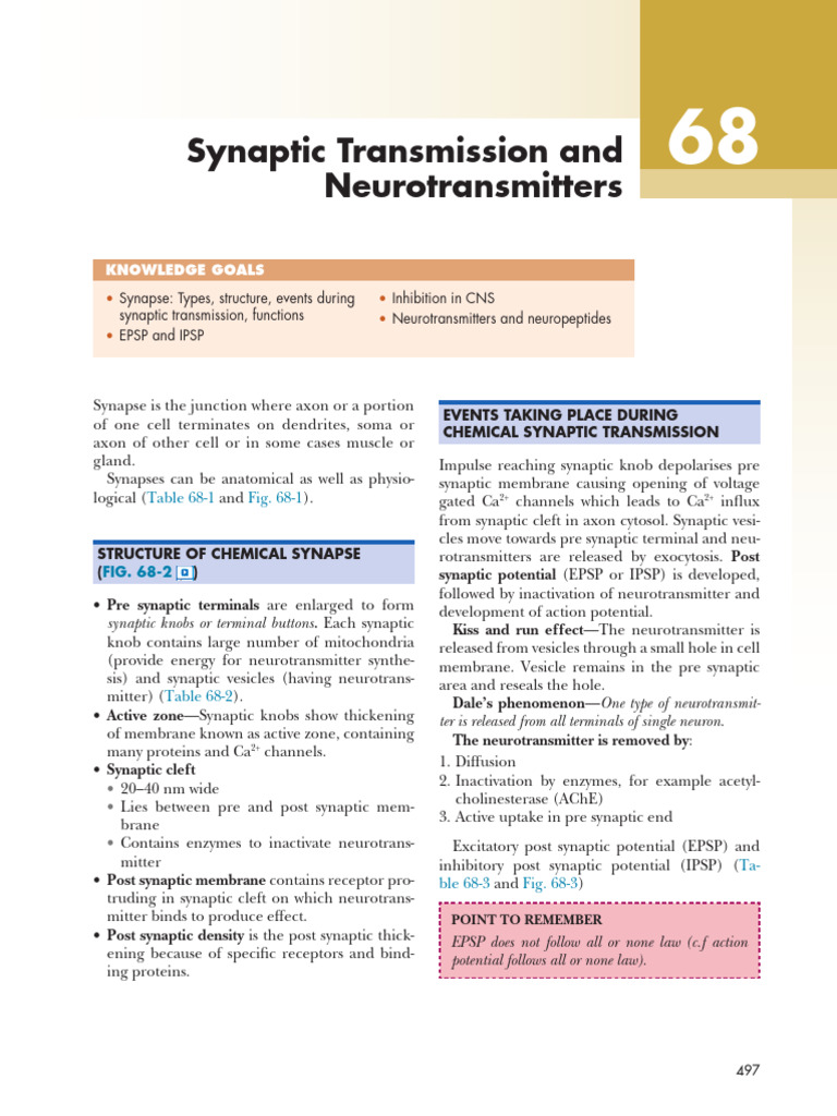 Synaptic Transmission and Neurotransmitters | PDF | Chemical Synapse ...