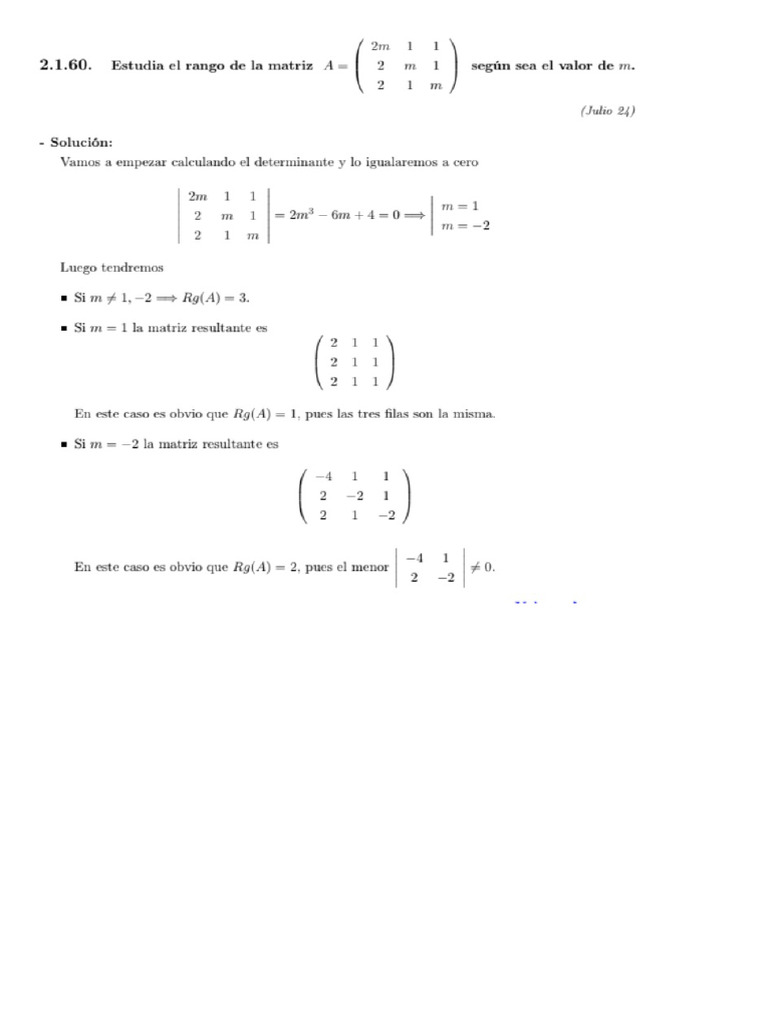 Ebau Tema 6 Matrices y Det. | PDF