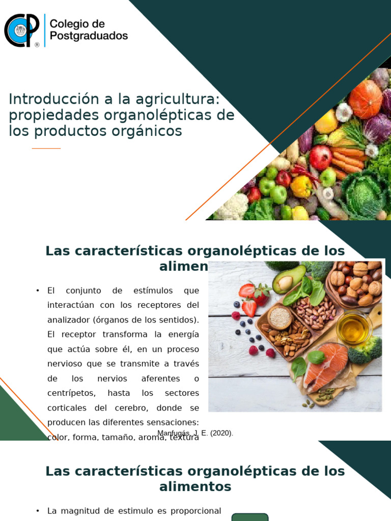 Propiedades organolépticas de alimentos orgánicos | PDF | Gusto | Sentidos
