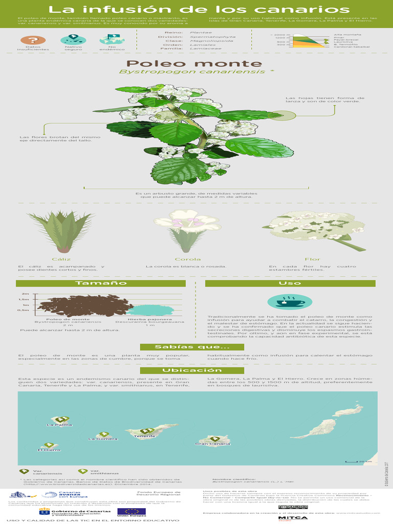 Poleo de Monte | PDF | Islas Canarias