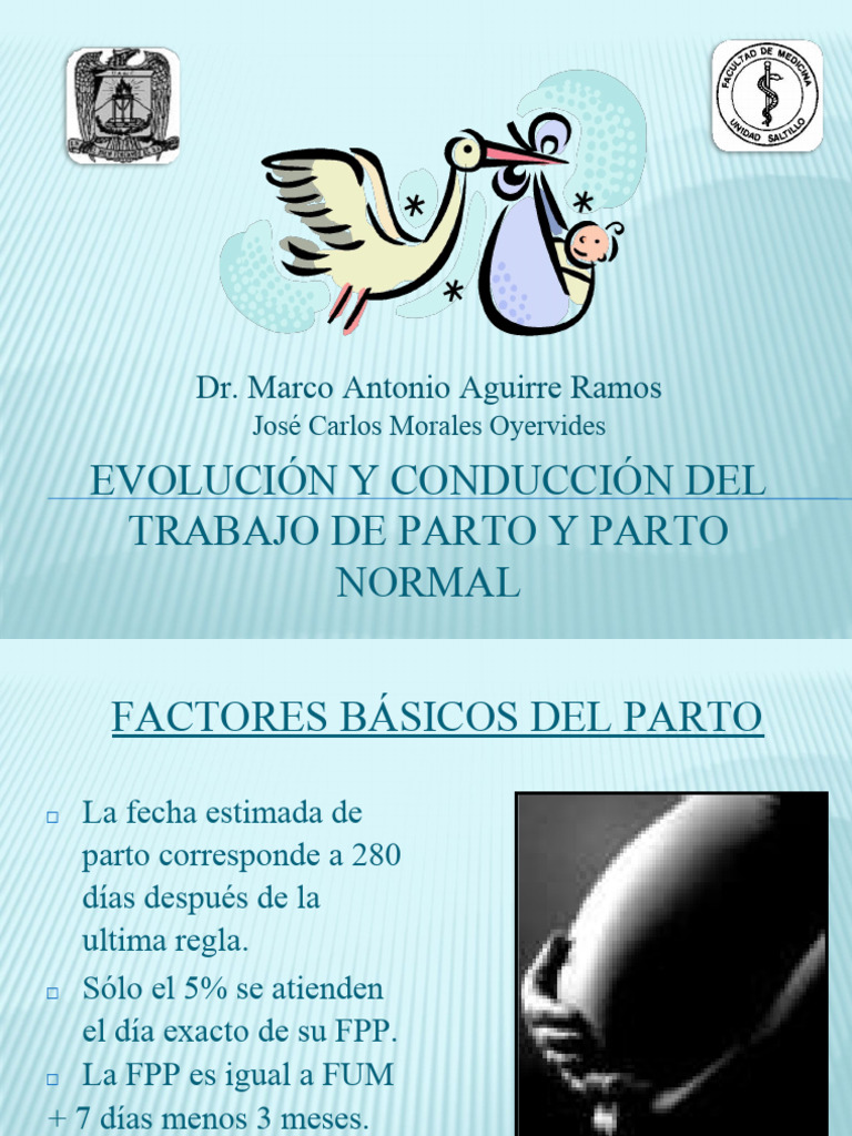 Factores Clave en el Parto Normal | PDF | Pelvis | Parto