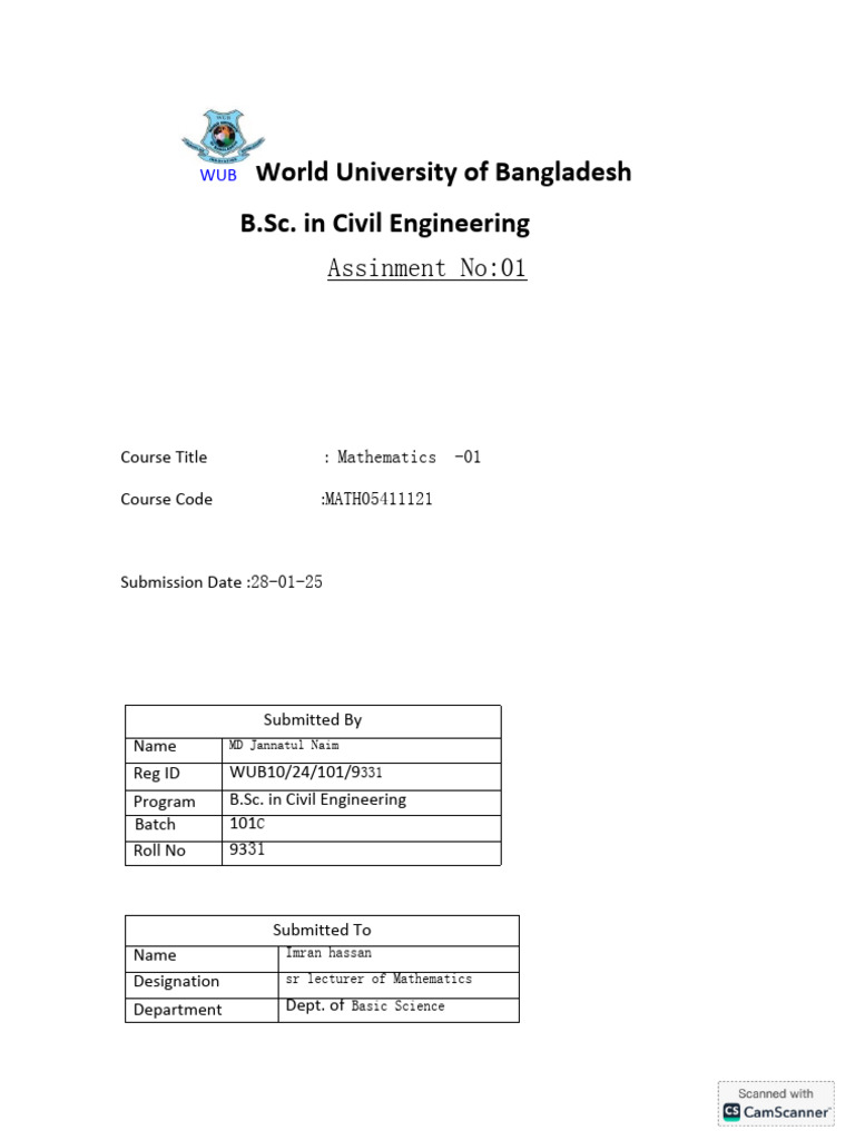 Civil Engineering Math Assignment | PDF