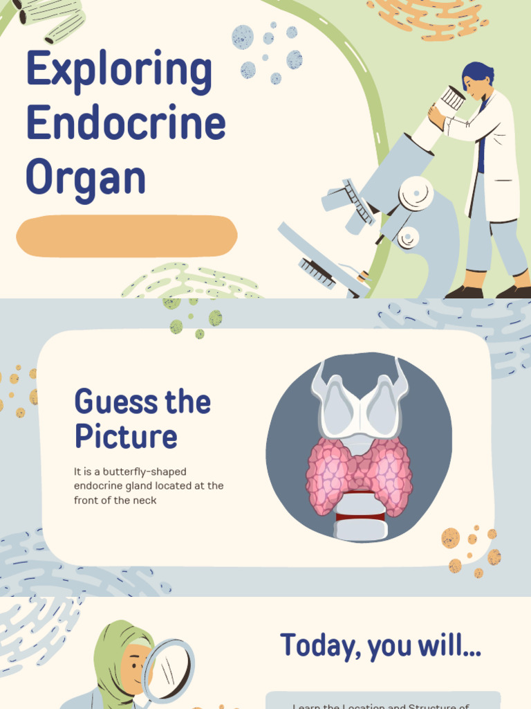 Thyroid and Endocrine Gland Overview | PDF | Adrenal Gland | Thyroid