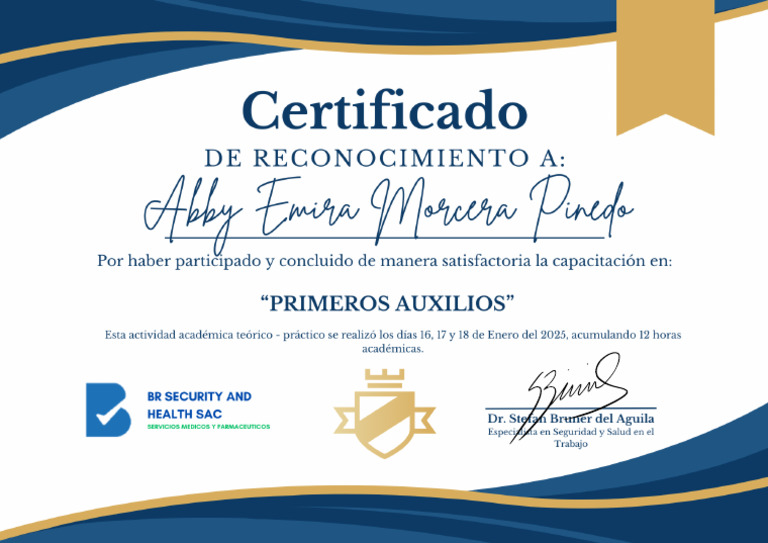 Etiquetas De Sombrero Duro Con Certificado De Primeros Auxilios RCP, 2