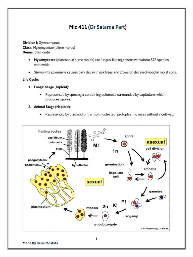 Fungal Diseases and Control Methods | PDF | Fungus | Branches Of Botany