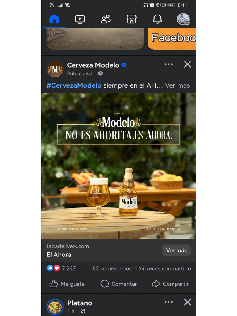 Modelo | PDF