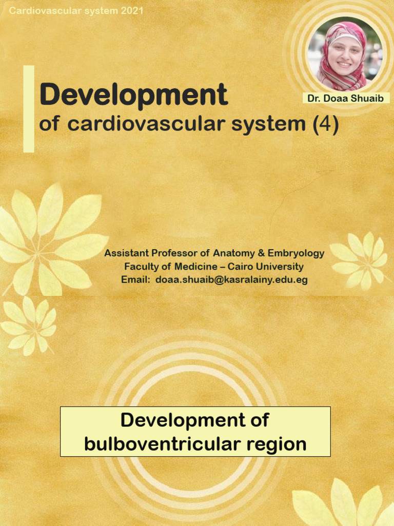Development of The Heart 3 - Doaa 2021 | PDF | Ventricle (Heart) | Aorta