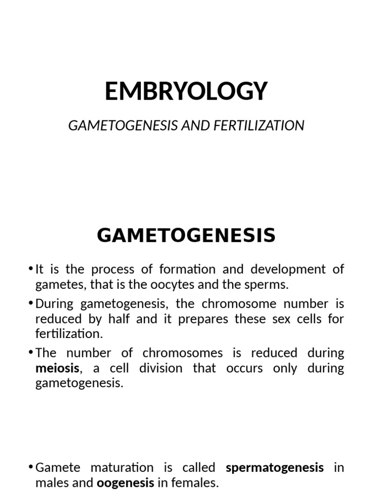EMBRO Gametogenesis and Fertilization | PDF | Meiosis | Fertilisation