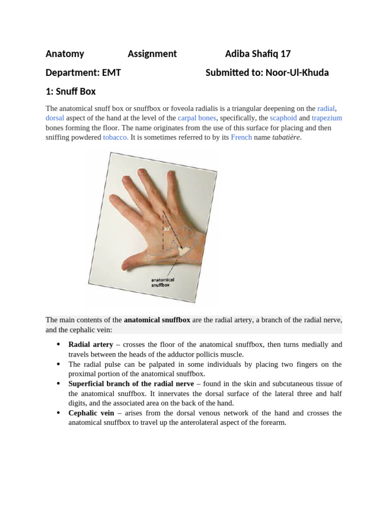 Anatomy Assignment A S 2 | PDF | Thumb | Limbs (Anatomy)
