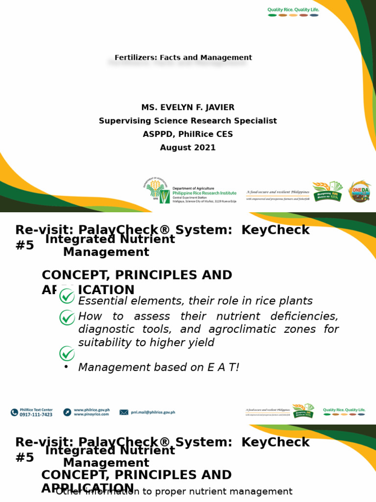Fertilizer Management for Rice Cultivation | PDF | Fertilizer | Soil