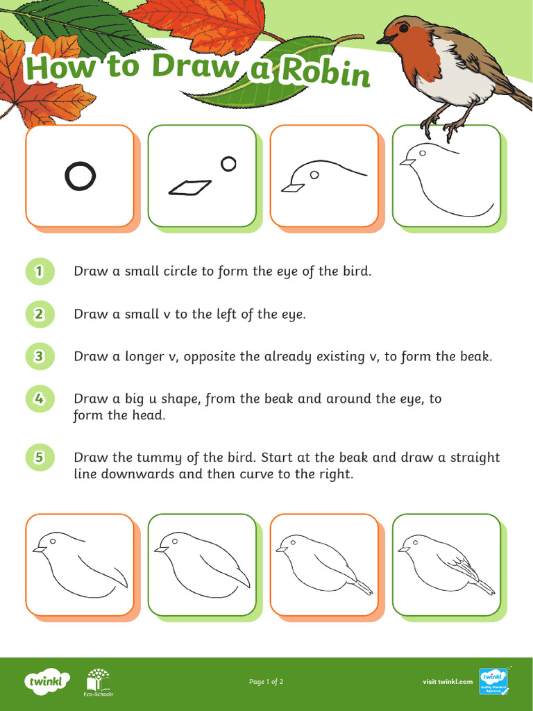 Ni G 1641755385 How To Draw A Robin - Ver - 2 | PDF