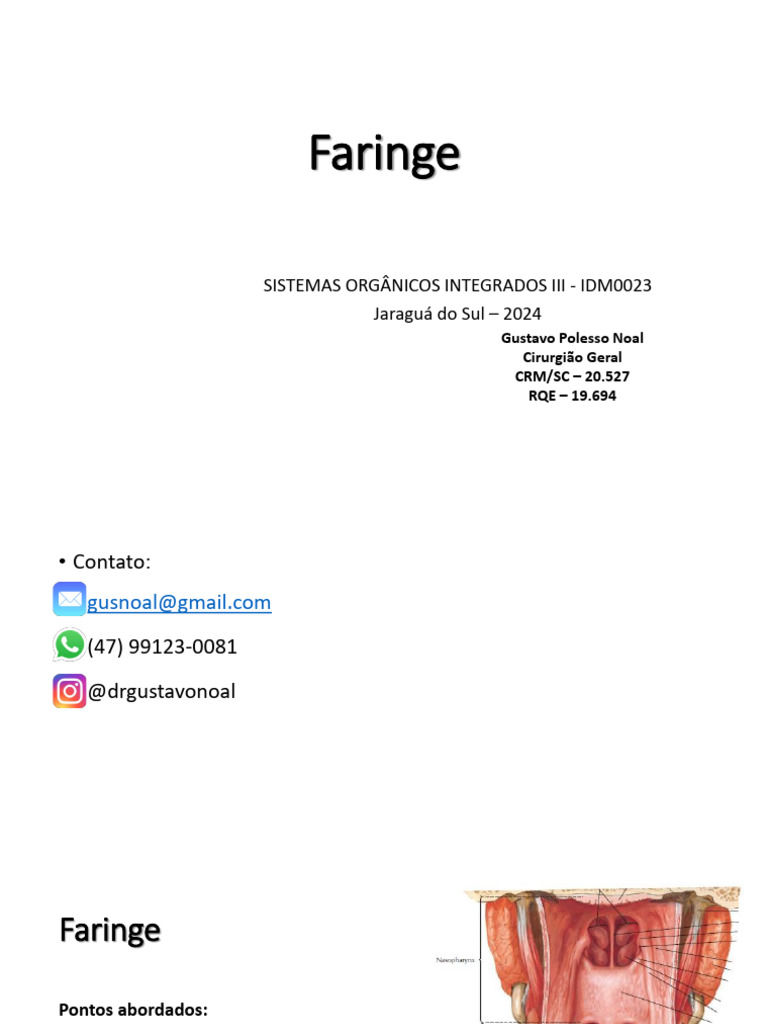 Anatomia do Plexo Faríngeo | PDF | Anatomia animal | Anatomia humana