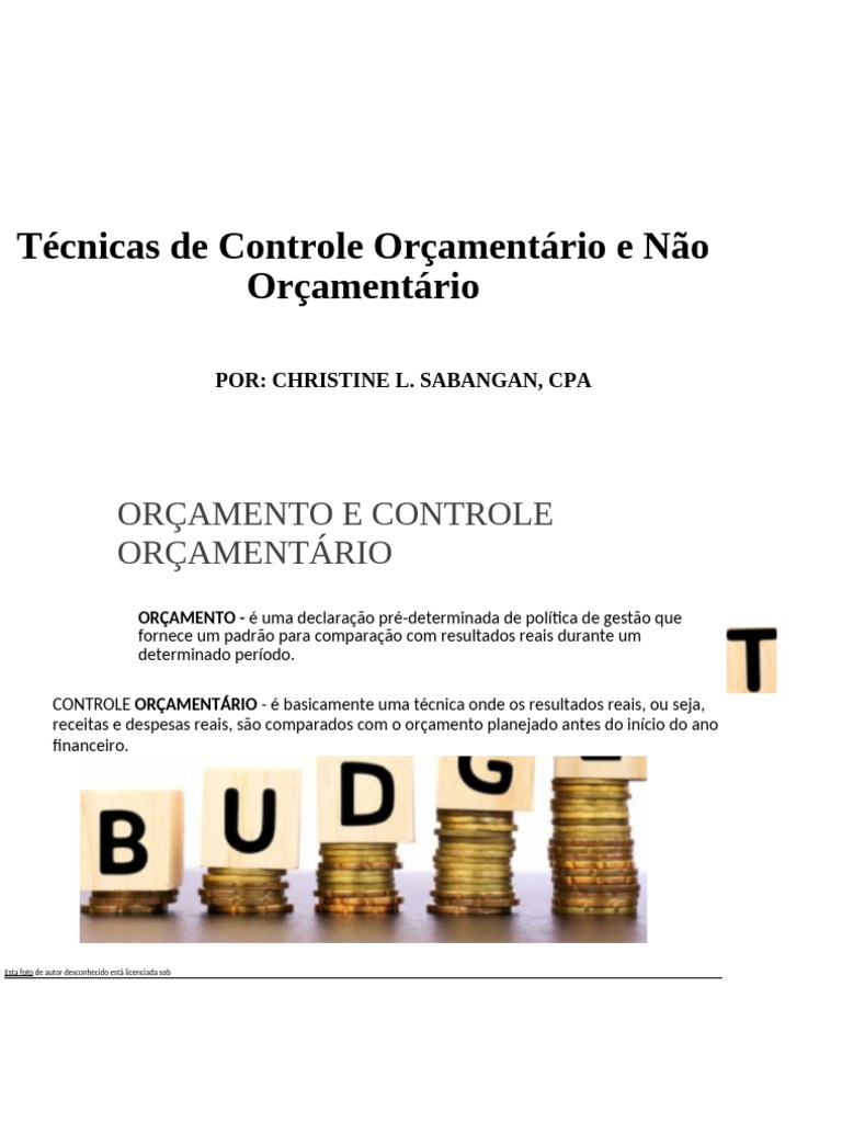 Técnicas de Controle Orçamentário e Não Orçamentário | PDF | Orçamento ...