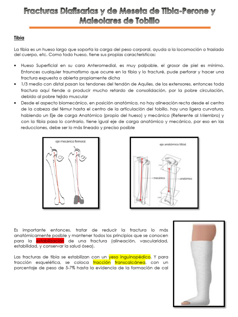 Fracturas de Tibia y Tobillo: Guía Completa | PDF | Tobillo | Anatomía ...