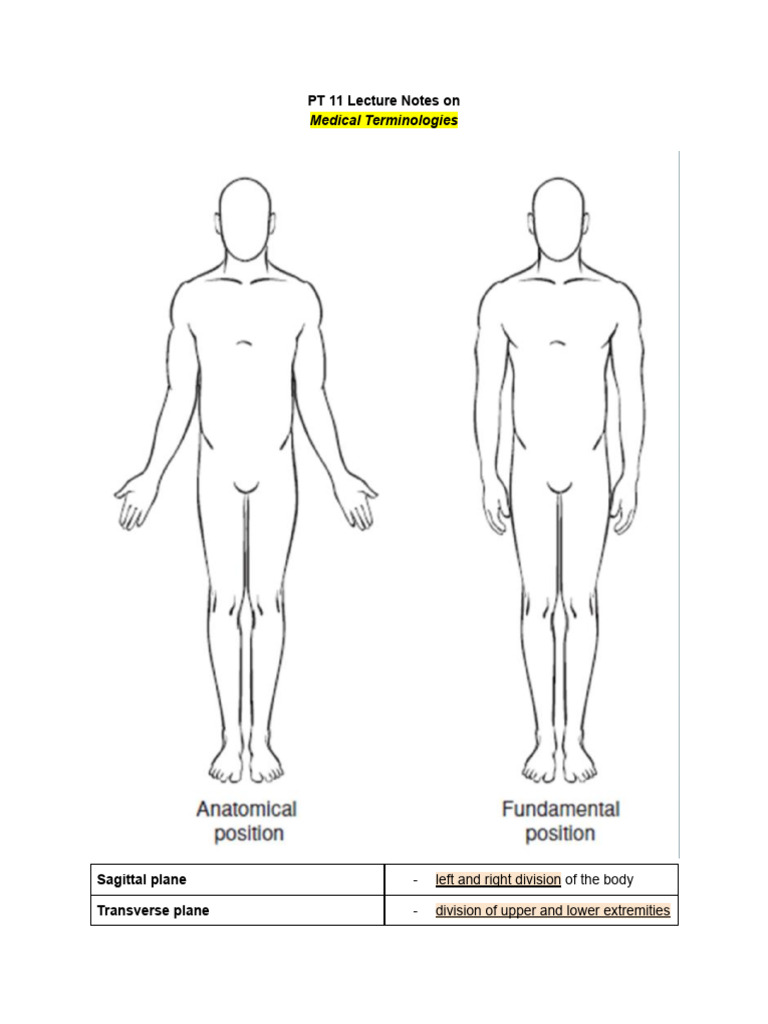 PT 11 - Medical Terminologies | PDF | Anatomical Terms Of Motion ...