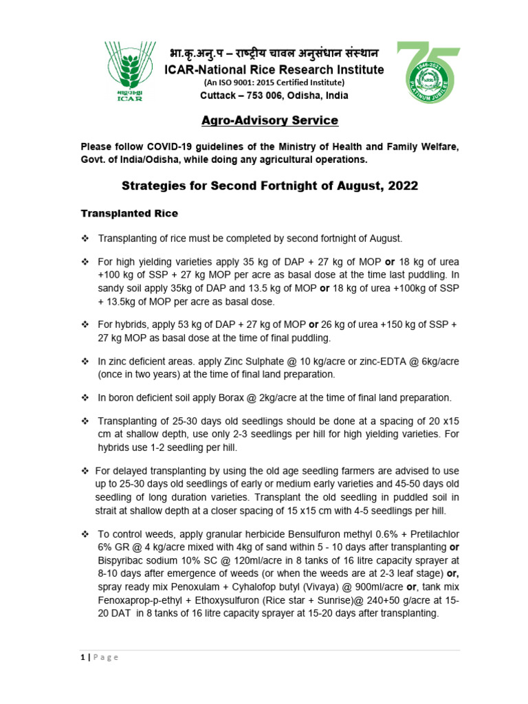 August Rice Farming Tips | PDF | Rice | Herbicide