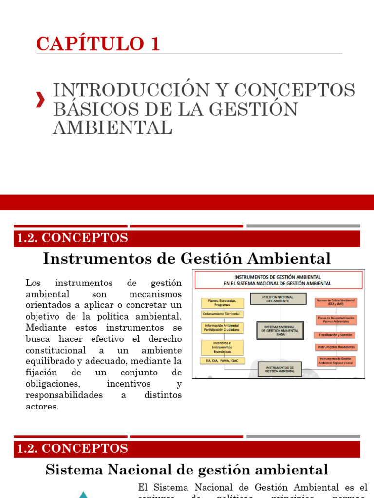 Conceptos Clave de Gestión Ambiental | PDF | Entorno natural ...