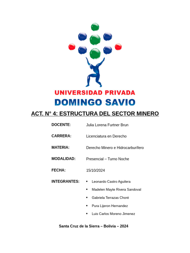 Estructura Institucional Minera en Bolivia | PDF | Bolivia