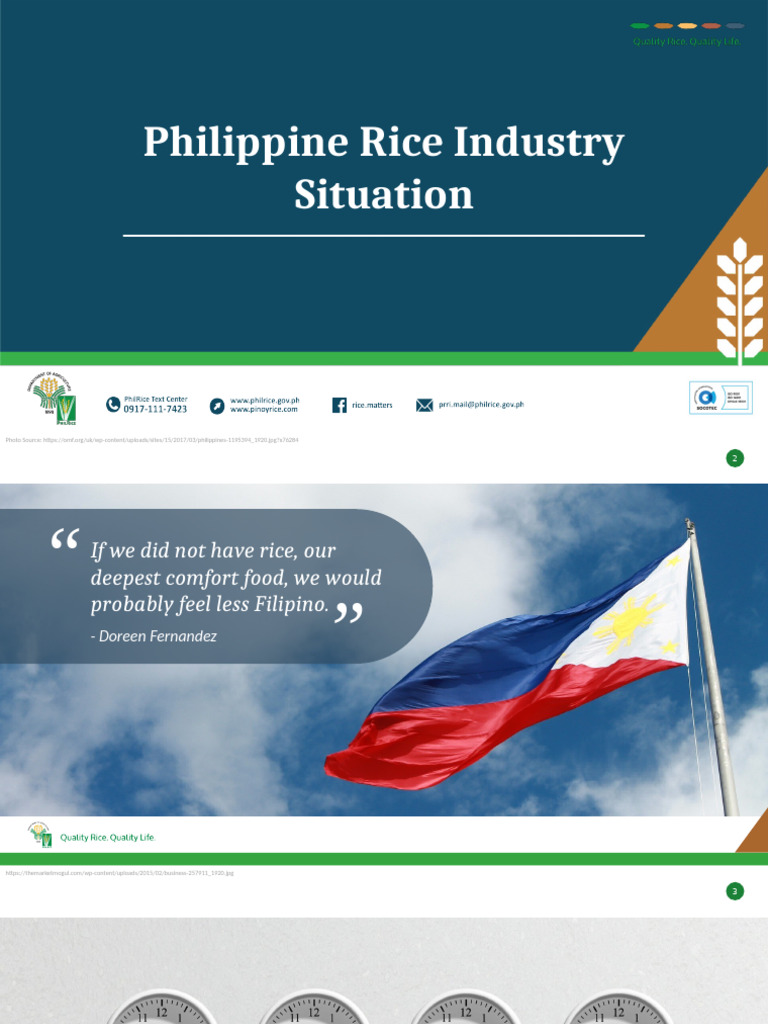 2022 Phil Rice Industry Briefer Revamp v5.8.1 | PDF