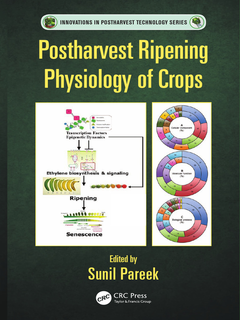 Postharvest Physiology of Crops | PDF | Stoma | Cellular Respiration