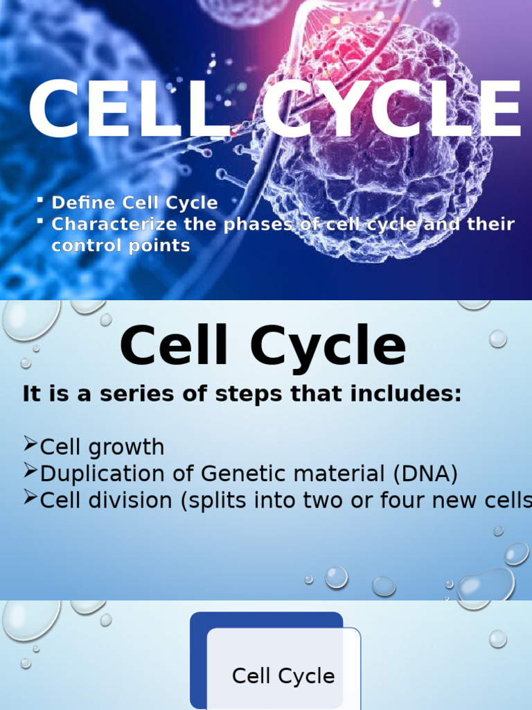 Cell Cycle | PDF