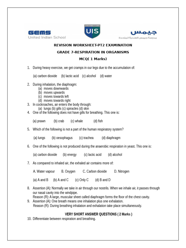 Grade 7 Respiration Revision Worksheet | PDF | Respiratory System ...