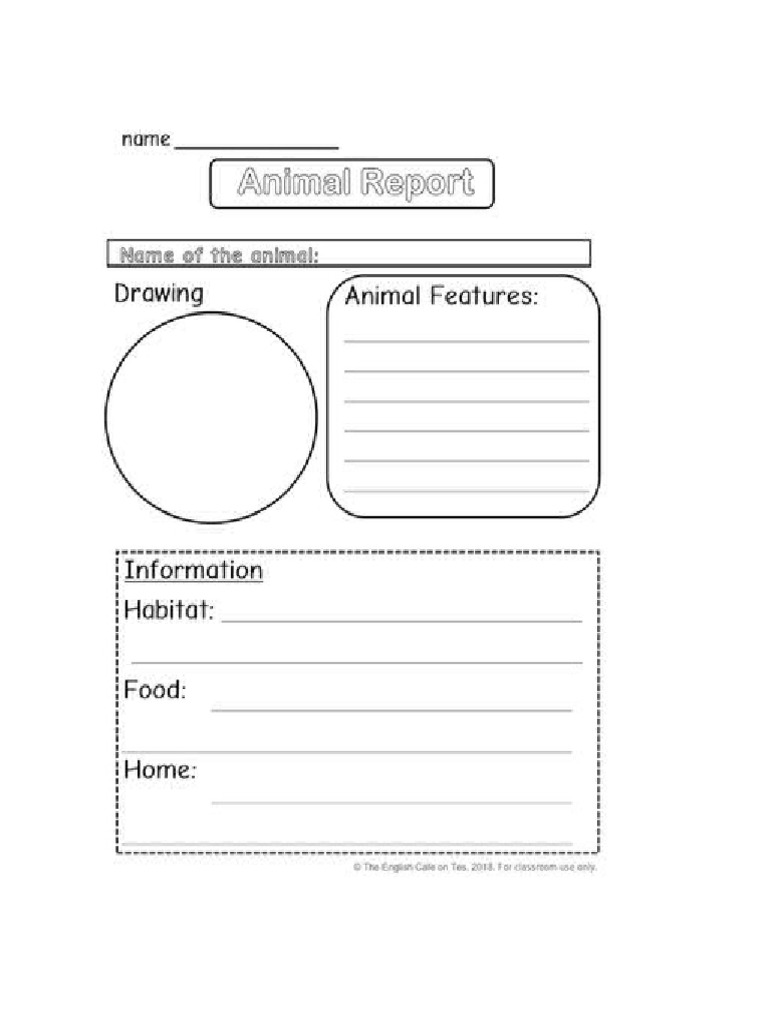 Animal Report | PDF