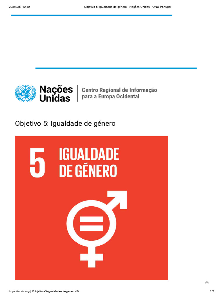 Igualdade de Gênero: Objetivo 5 da ONU | PDF | Igualdade de gênero ...