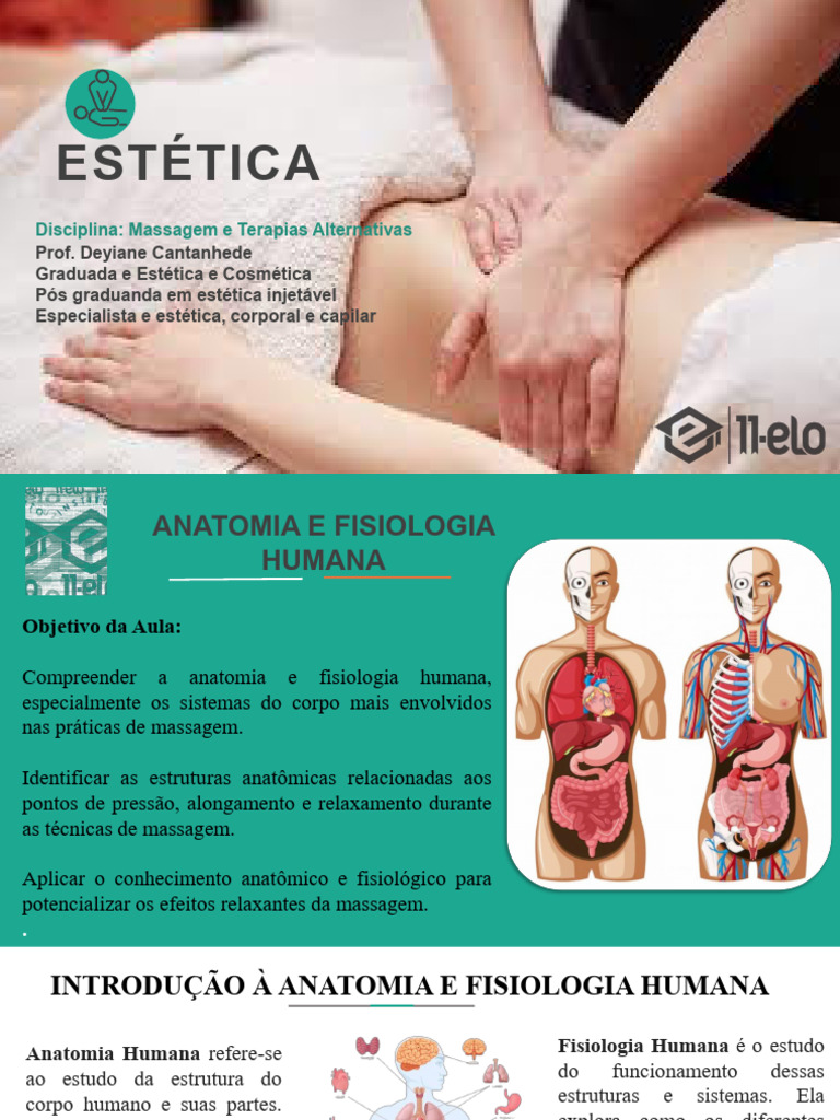 Anatomia e Fisiologia na Massagem | PDF | Corpo humano | Músculo