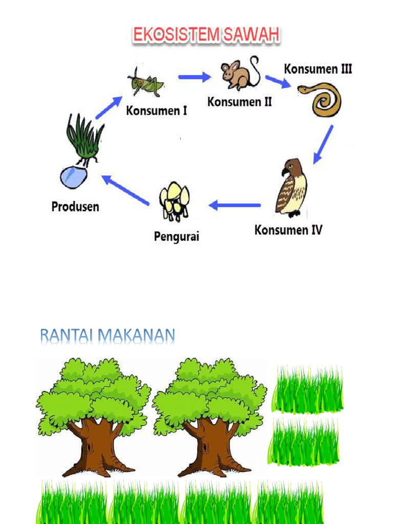 Jawa Barat ekonomi syariah pengembangan ekosistem