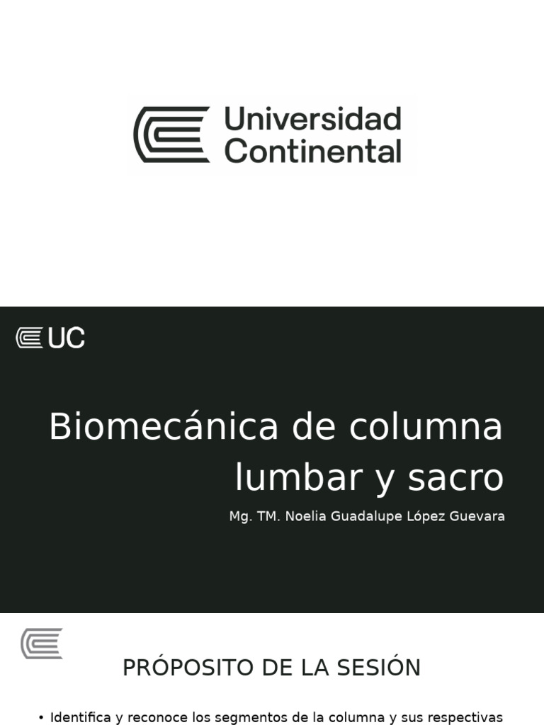 Biomecánica de la Columna Lumbar | PDF | La columna vertebral | Sistema ...