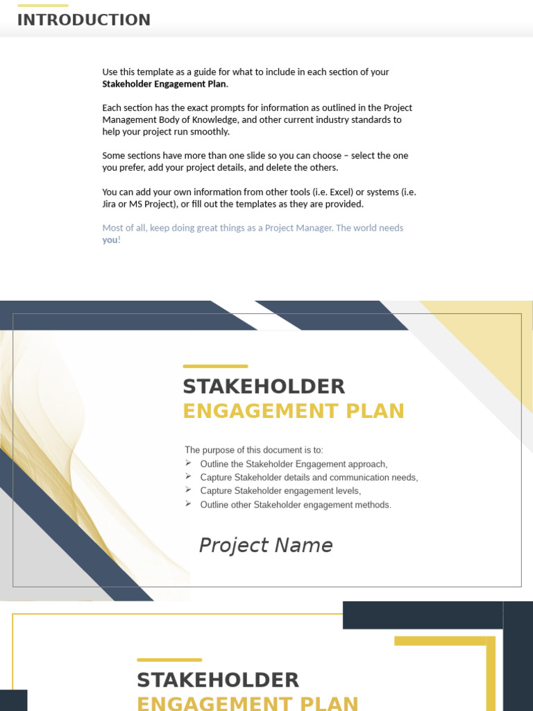 Stakeholder Engagement Plan Template | PDF